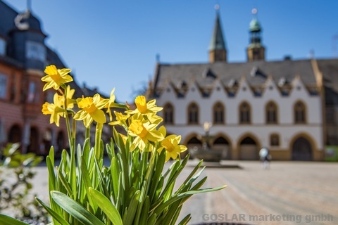 Marktplatz mit Rathaus im Frühling