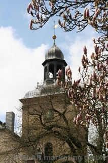 St. Stephani Kirche im Frühling